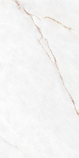 Museum Dahlia White NT/C/R 60x120H0.9