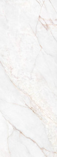 Museum Dahlia White Shaped R 100x275H0.6