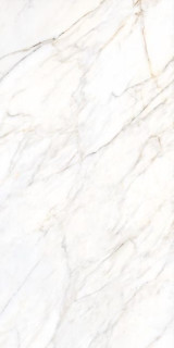 Museum Gioia Silver 60x120