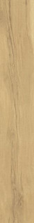 Museum Grow Honey SP R 24x151