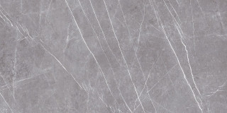 Museum Greystone Argent 60x120