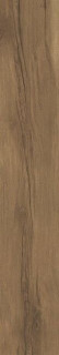 Museum Grow Porto SP R 24x151