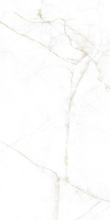Museum Dual White EP 60×120H1
