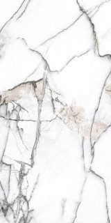 Museum Premiere White SP R 60x120