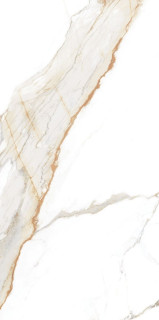 Museum Praline Gold NT C/R 60x120H0.9