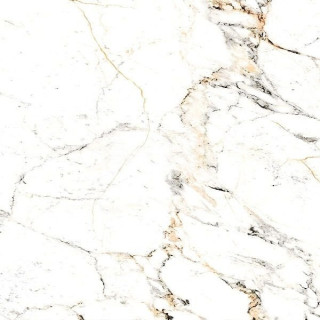 Museum Tucci Gold 60х60