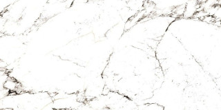 Museum Tucci Black 60х120