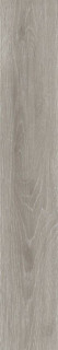 New Tiles Sweet Cenere 20x120
