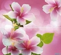 Novogres Fresh Decor Goa Leko-2 54х60
