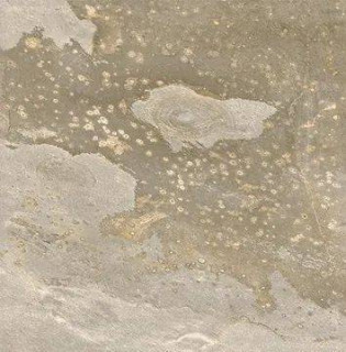 New Tiles Bali Sand In&Out Matt R11 60x60H0.95