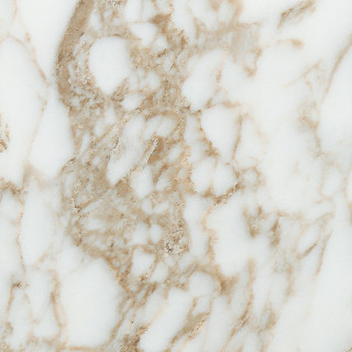 Pamesa Arabescato Gold Mat 60x60
