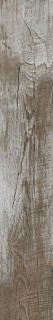 Pamesa At. Dallas Bone Mat Rect 20x120