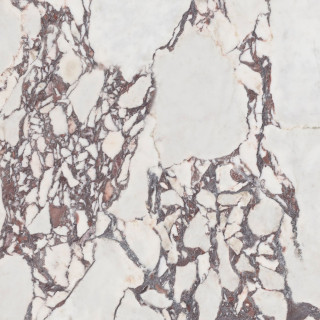 Pamesa CR Lux Viola Pol Rett 120×120