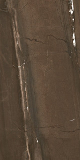 Pamesa CR Lux Jatoba Brown Pul Rect 60×120