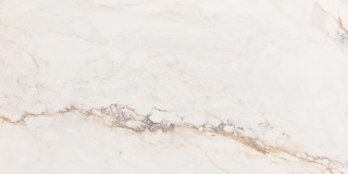 Pamesa Cr. Pisa Gold (Leviglass) 30x60