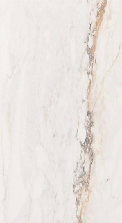 Pamesa Cr. Pisa Gold Leviglass 6 мм 120x260