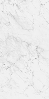 Pamesa CR Zagreb White Leviglass 60x120