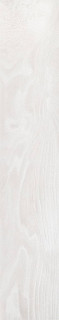 Pamesa Eternity Blanco Rect Matt 20x120