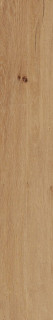 Pamesa Grove Umber 20x120