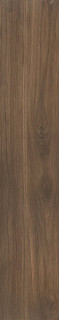 Pamesa Kalon Nogal Rect Matt 20x120