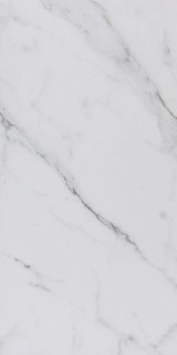 Pamesa Es.Garda Blanco Leviglass Rect. 60x120