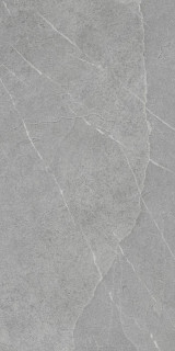 Pamesa Pietra Di Lavagna Argento 60x120