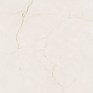 Pamesa Velhira White Polished Rect 120x120H0.78