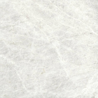 Pamesa Taj Mahal Matt Rect 120x120