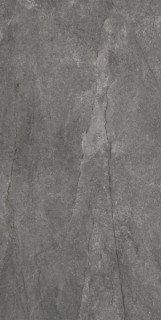 Pamesa Cr. Wells Ash 60x120