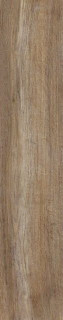Peronda Boreal Walnut 23x120