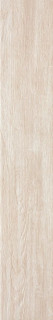 Peronda Foresta Grove-B/20 20X122,5