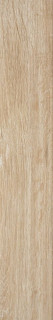 Peronda Foresta Grove-H/20 20X122,5