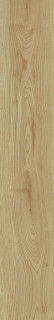 Peronda Granier Taupe AS C R 24x151
