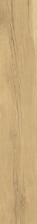 Peronda Grow Honey SP R 24x151