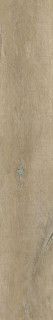 Peronda Lenk Taupe AS C/R 19,5x121,5