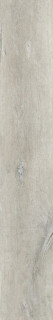 Peronda Lenk Ash AS C/R 19,5x121,5