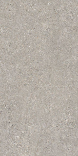Peronda Manhattan Floor Grey AS C/R 10mm 60×120