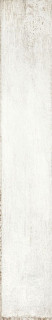 Peronda Plate White 19,5x121,5