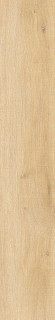Peronda Whistler Honey A/R 24x151