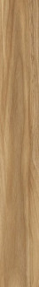 Porcelanite Dos 6610 Rect. Nogal 20,5x147,5