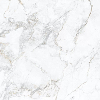 Porcelanite Dos Iguazu 1865 White 100x100