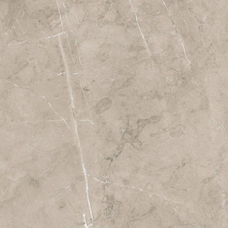 Porcelanite Dos 5059 Vision 50х50