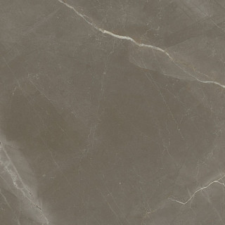 Porcelanite Dos Venecia 1804 Gris Pulido 98x98