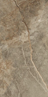 Porcelanite Dos Tamesis Land Nat Ret 64x147,5