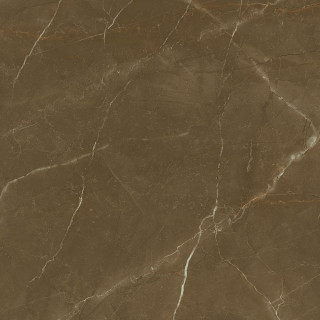 Porcelanite Dos Venecia 1804 Tabaco Pulido 98x98