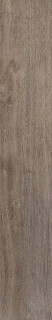 Porcelanosa Bruselas Walnut 29.4x180