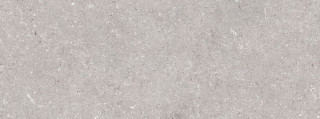 Porcelanosa Coral Acero 45x120