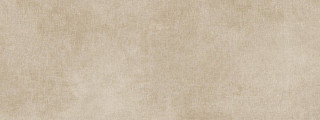 Porcelanosa Gasa Topo Matt 45x120H1