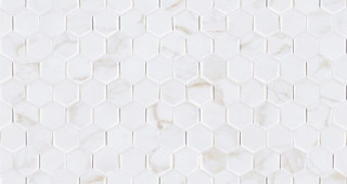 Porcelanosa Forest Persia 31,6x59,2