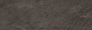 Porcelanosa Image Dark 33.3x100